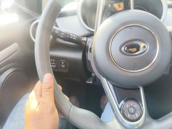 [广州·粤A] 二手欧拉欧拉黑猫2019款 351km 亲子版