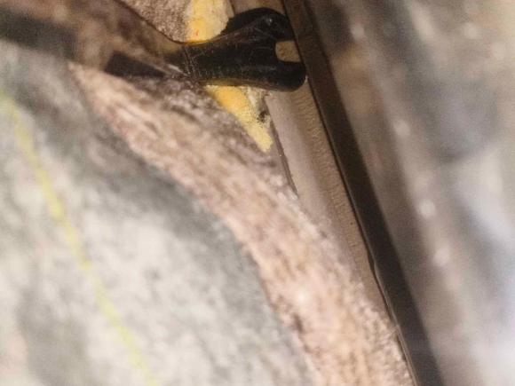 [成都·川A] 二手丰田锐志2010款 2.5V 风度菁英版