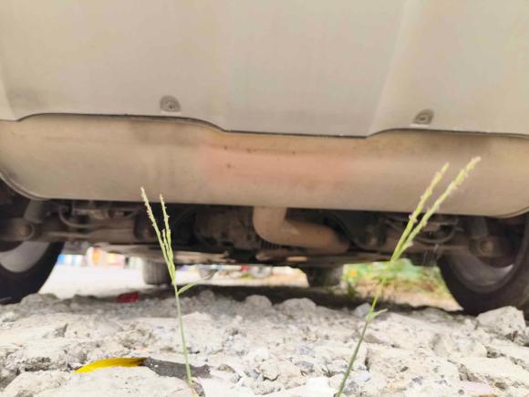 [南通·苏F] 二手宝马宝马X62013款 xDrive35i