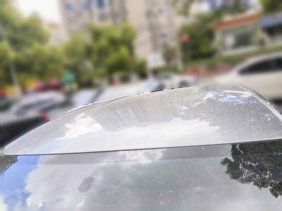 [上海·沪A] 二手比亚迪海豚2023款 420km 自由版