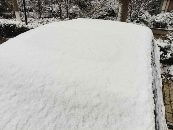 [青岛·鲁B] 二手别克英朗2016款 15N 手动精英型