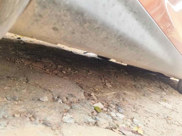 [上海·苏E] 二手福特福克斯2015款 两厢 1.6L 自动舒适型