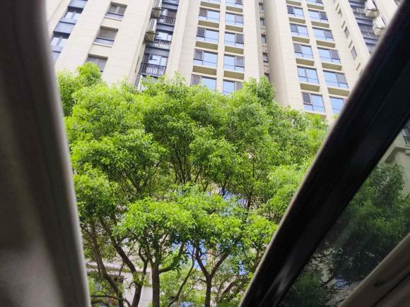 [上海·沪A] 二手别克别克GL82017款 28T Avenir艾维亚 国V