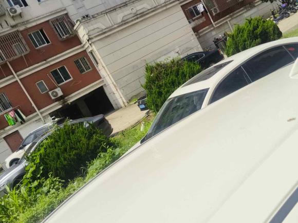 [上海·沪A] 二手思铭东风本田X-NV2020款 风驰版