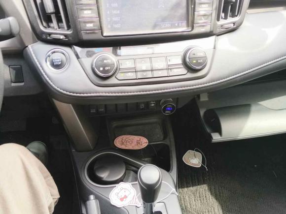 [上海·沪D] 二手丰田RAV4荣放2016款 2.0L CVT两驱风尚版 国V