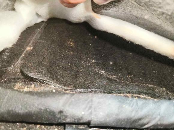 [济南·鲁A] 二手长城炮2020款 2.0T越野版自动汽油四驱限量版GW4C20B