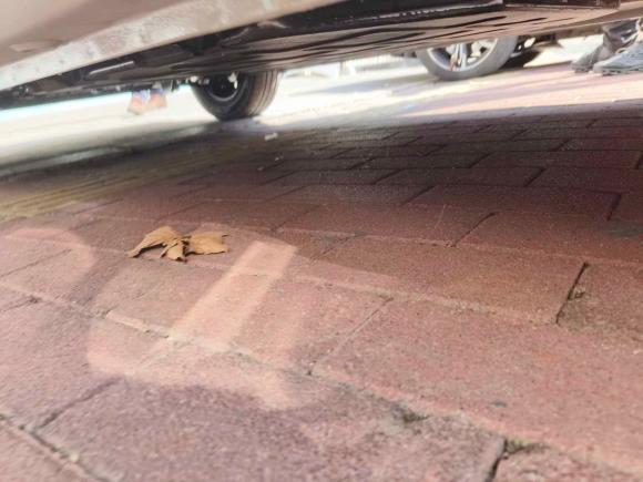 [青岛·无P] 二手五菱汽车宏光MINIEV2025款 四门版 进阶款