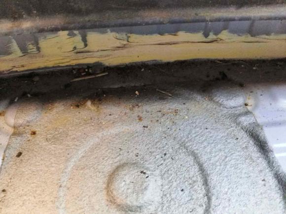 [宁波·浙B] 二手比亚迪海豚2021款 405km 自由版