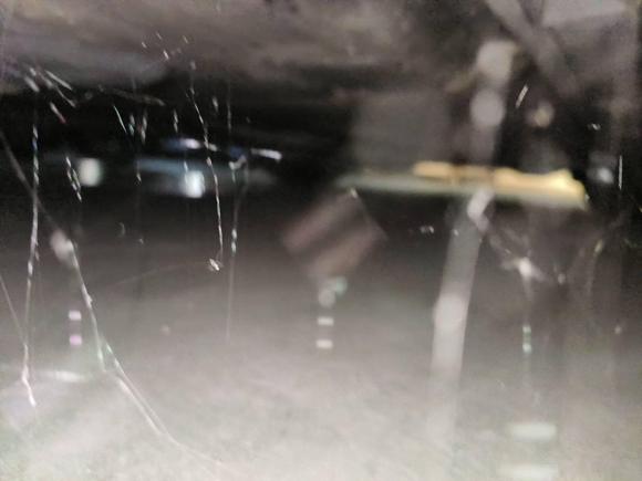 [温州·浙C] 二手大众迈腾2019款 280TSI DSG 舒适型 国V