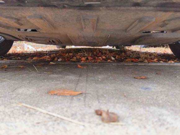 [深圳·粤L] 二手荣威荣威i52021款 1.5L CVT钻石版