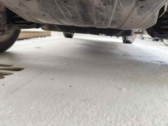 [青岛·鲁B] 二手本田缤智2022款 1.5L CVT精英智享版