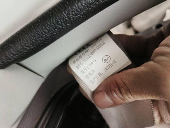 [苏州·苏E] 二手金杯新海狮EV2023款 舒适型