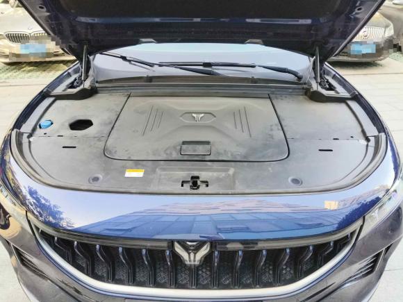 [武汉·鄂A] 二手岚图汽车岚图FREE2021款 四驱纯电首发纪念版专属豪华套装