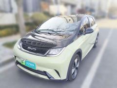 [南通·苏F]比亚迪&nbsp;&nbsp;海豚&nbsp;&nbsp;2023款 420km 自由版