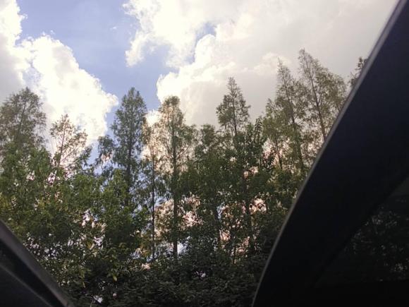 [上海·沪B] 二手奔驰奔驰CLA2017款 改款 CLA 200 时尚型