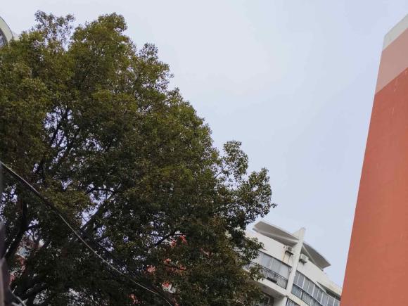 [上海·沪B] 二手奔驰奔驰C级2016款 C 180 L 运动型