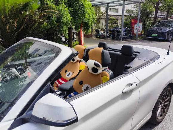 [上海·沪M] 二手宝马宝马2系2015款 218i 敞篷轿跑车