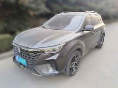 [上海·皖C] 荣威荣威RX52021款 PLUS 330TGI 自动国潮智享版