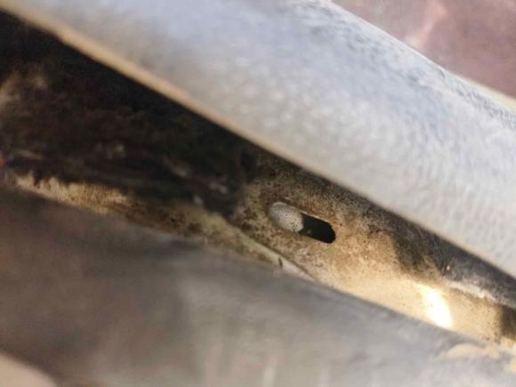 [西安·陕A] 二手大众朗逸2017款 1.6L 自动舒适版