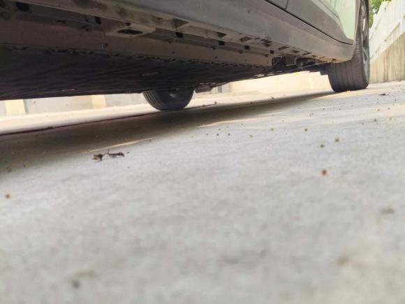 [嘉兴·浙F] 二手埃安AION Y2022款 70 智领版 磷酸铁锂