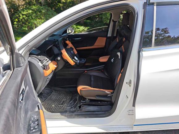 [上海·沪A] 二手比亚迪比亚迪e22021款 豪华型