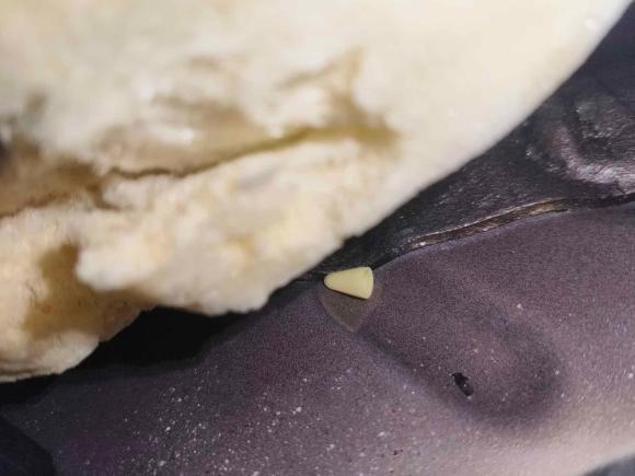 [合肥·皖A] 二手福特福睿斯2017款 1.5L 自动舒适型