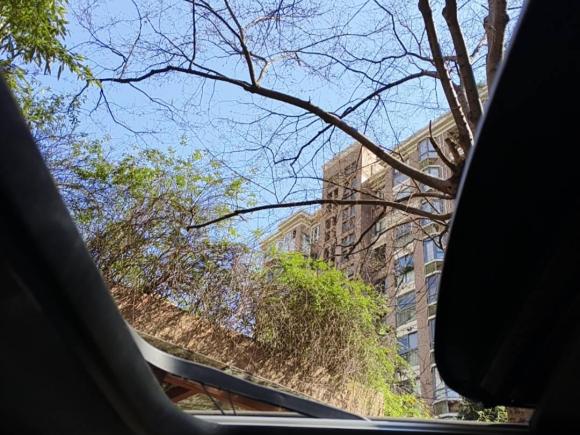 [上海·沪B] 二手MINIMINI2019款 1.5T ONE PLUS