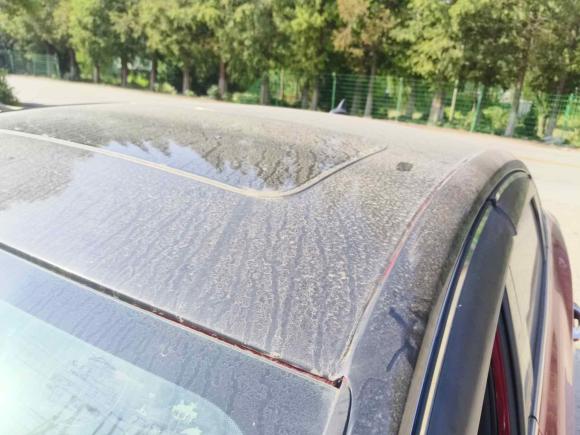 [上海·苏U] 二手长安逸动2019款 高能版 1.6L GDI 自动先锋型 国VI