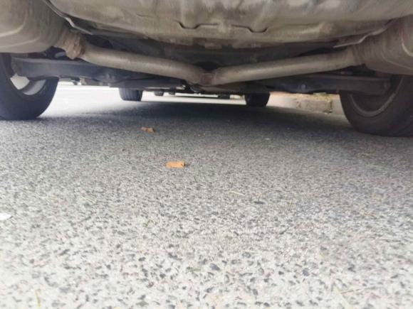 [青岛·鲁B] 二手本田英仕派2019款 260TURBO 精悦版 国VI