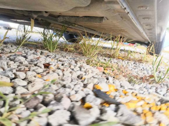 [上海·贵D] 二手日产轩逸2018款 1.6XE CVT舒适版