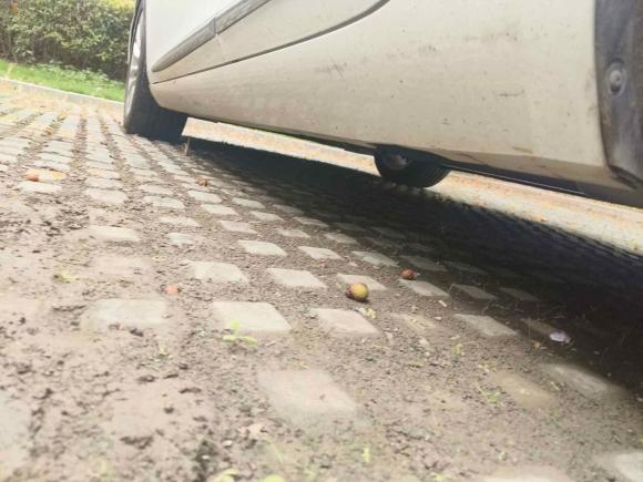 [苏州·苏U] 二手凯迪拉克凯迪拉克XTS2018款 28T 精英型