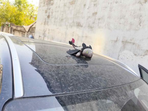 [上海·川Y] 二手捷途捷途X70 PLUS2023款 1.5T DCT勇者PLUS 5座