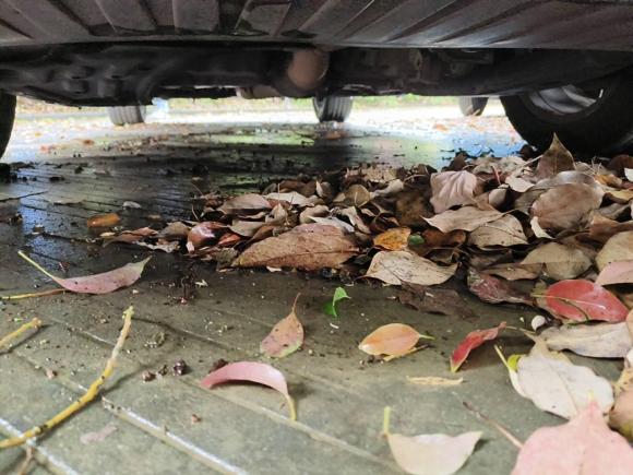 [嘉兴·浙F] 二手别克别克GL62018款 18T 6座尊贵型