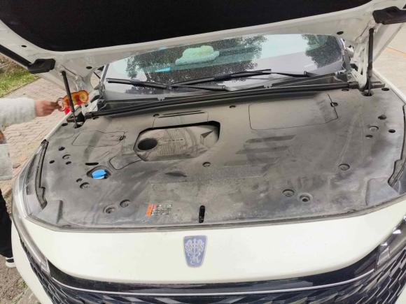 [上海·苏E] 二手荣威荣威RX52023款 1.5T 尊荣滑屏版