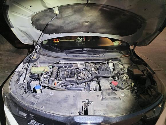 [上海·沪C] 二手本田凌派2019款 180Turbo CVT舒适版 国V