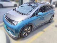 [无锡·苏B] 比亚迪海豚2021款 401km 骑士版