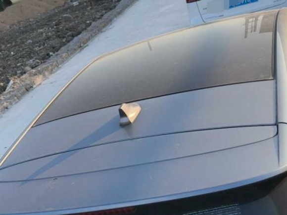 [温州·浙C] 二手比亚迪海豚2021款 405km 时尚版