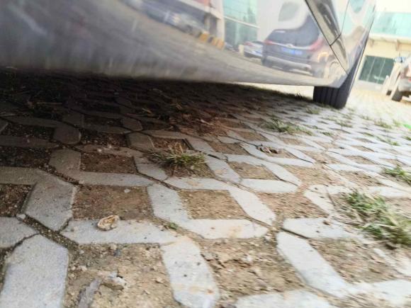 [青岛·鲁Q] 二手宝马宝马5系2011款 528Li 豪华型