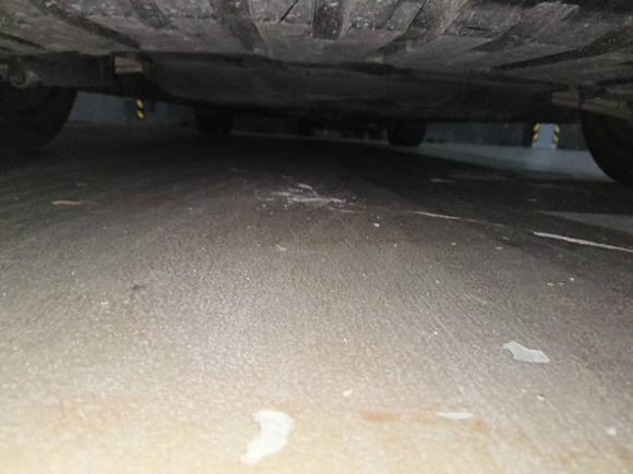 [嘉兴·浙F] 二手捷豹捷豹XFL2023款 XFL 2.0T P250 两驱精英运动版