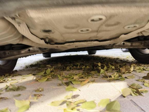 [杭州·浙A] 二手奥迪奥迪A4L2018款 30周年年型 40 TFSI 时尚型