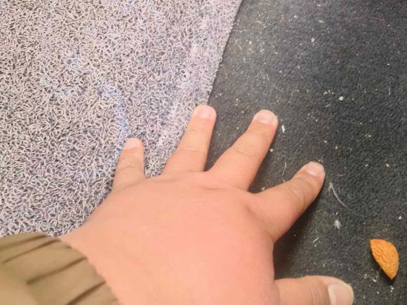 [无锡·苏B] 二手大众高尔夫2021款 280TSI DSG Pro 首发版