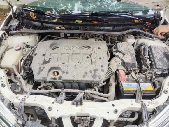 [上海·沪B] 二手丰田卡罗拉2014款 1.6L CVT GLX-i导航版