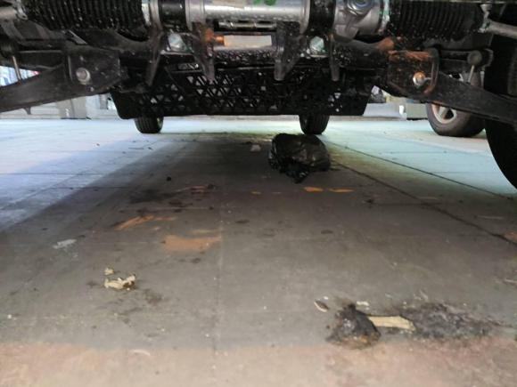 [杭州·浙A] 二手五菱汽车五菱之光2023款 1.5L 实用型 5/7座