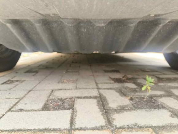 [宁波·浙B] 二手比亚迪宋Pro新能源2022款 DM-i 110km 旗舰型