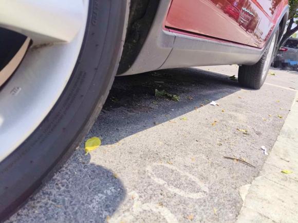 [青岛·鲁B] 二手铃木天语 SX42009款 两厢 1.6L 自动运动型