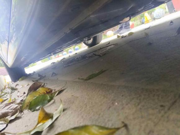 [上海·苏U] 二手日产轩逸2022款 经典 1.6XL CVT豪华版