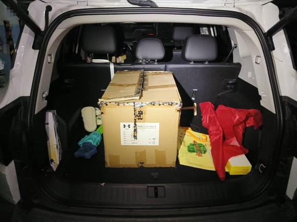 [芜湖·皖B] 二手捷途山海捷途山海T12024款 150km 向海