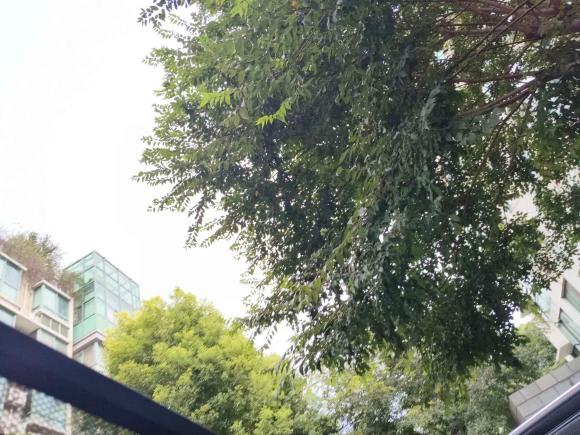 [上海·沪B] 二手奔驰奔驰GLC2016款 GLC 260 4MATIC 动感型