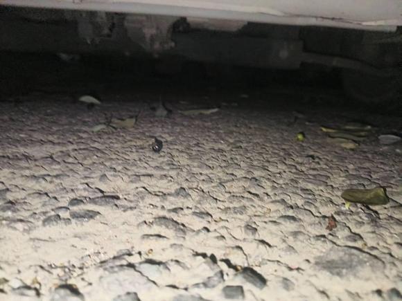 [温州·浙C] 二手荣威科莱威CLEVER2022款 311km元气啵啵版