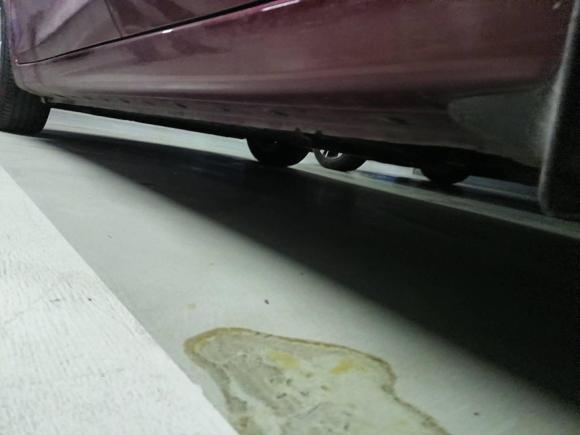 [上海·苏E] 二手日产骐达TIIDA2021款 1.6L CVT酷动版